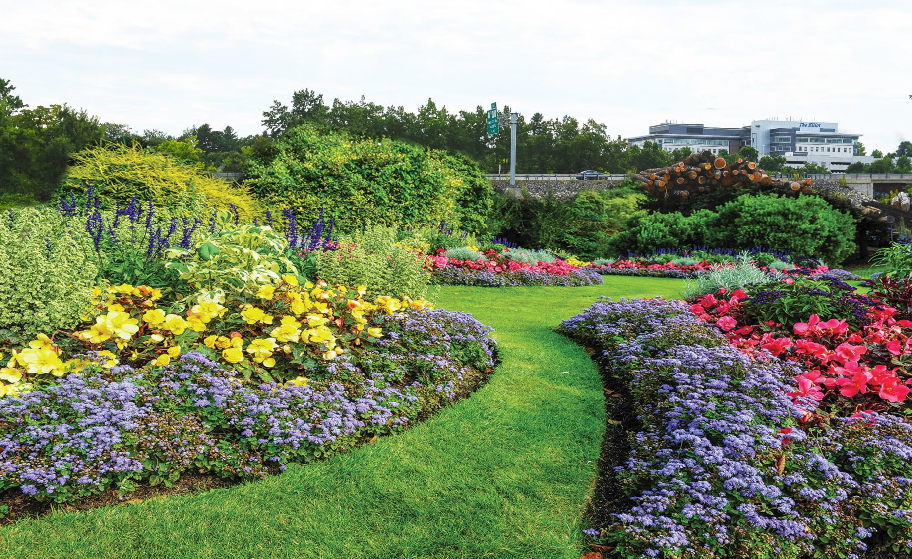 190817-news-city matters garden-bassNEW